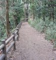 引地川公園泉の森