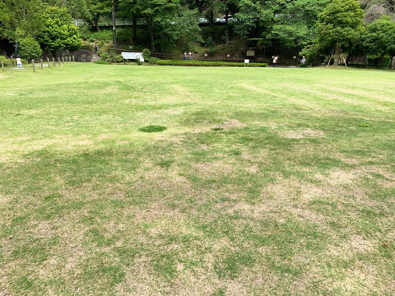 薬師池公園(町田市)の写真2