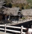 西湖いやしの里根場